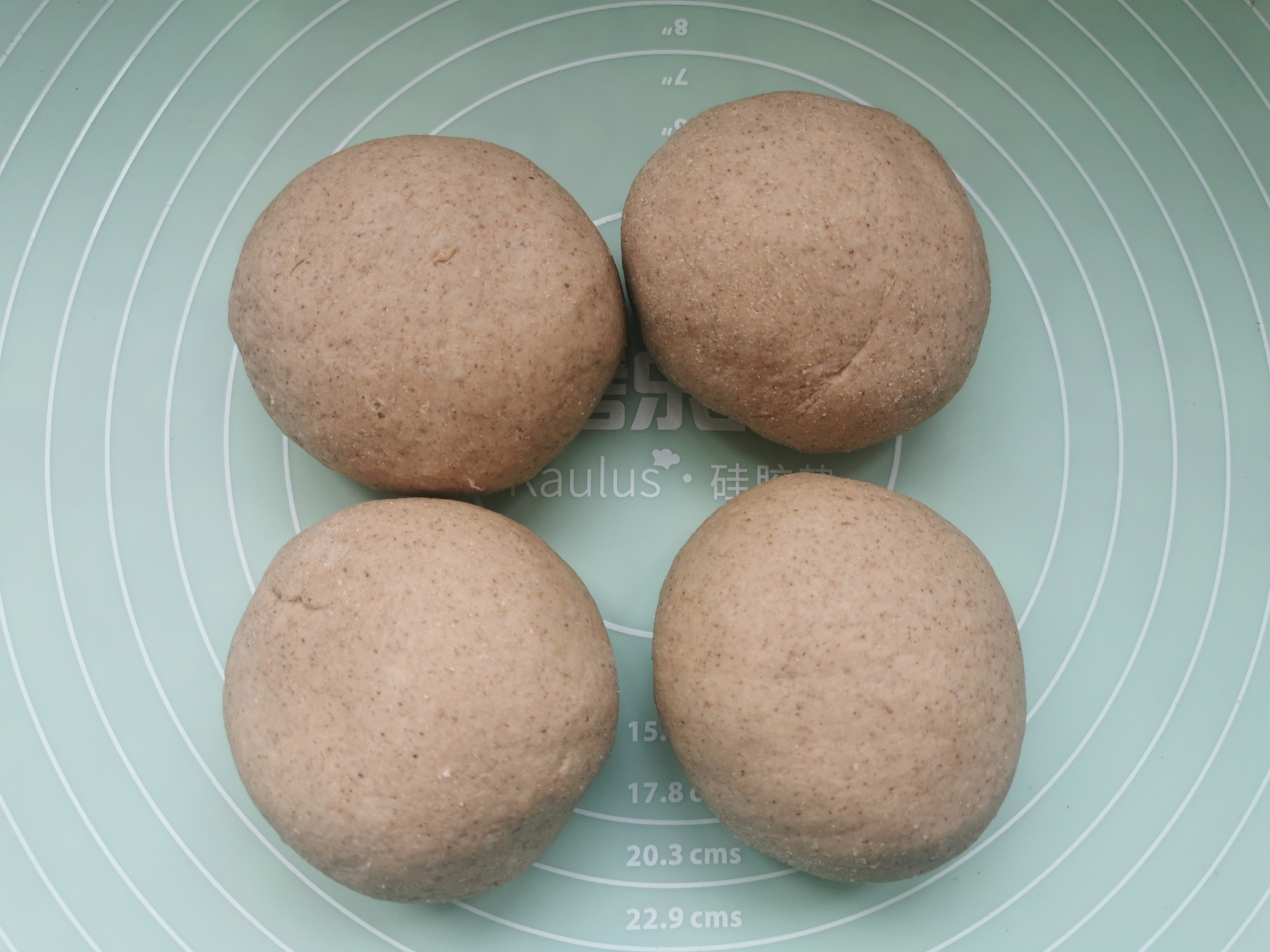 全麦面包包子麦香浓郁越嚼越香,麦香坊全麦面包0糖0脂减肥专用