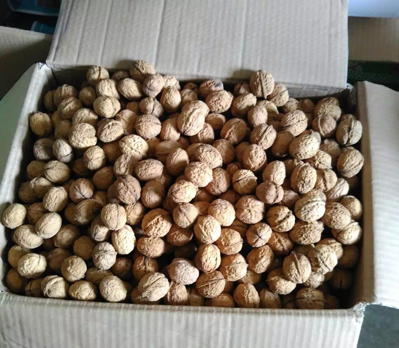 核桃真假的分辨,核桃好坏辨别