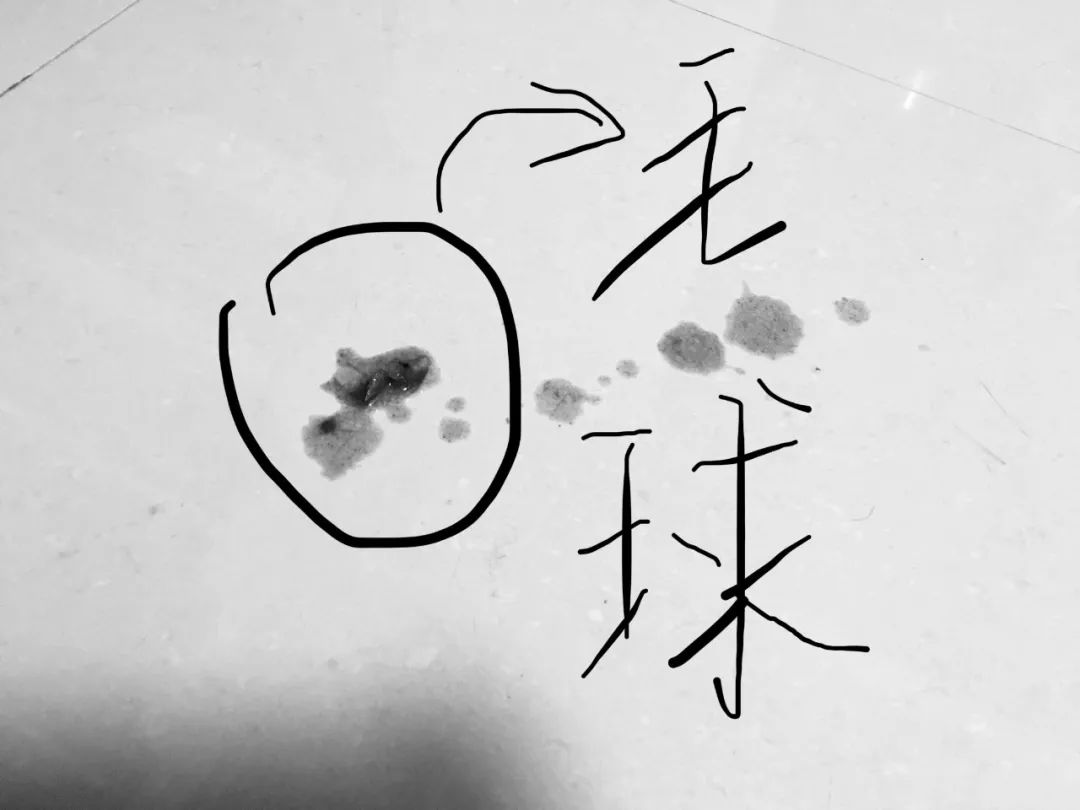 猫咪吐毛球然后连续吐胃液怎么办,猫咪吐毛球怎么解决毛球症