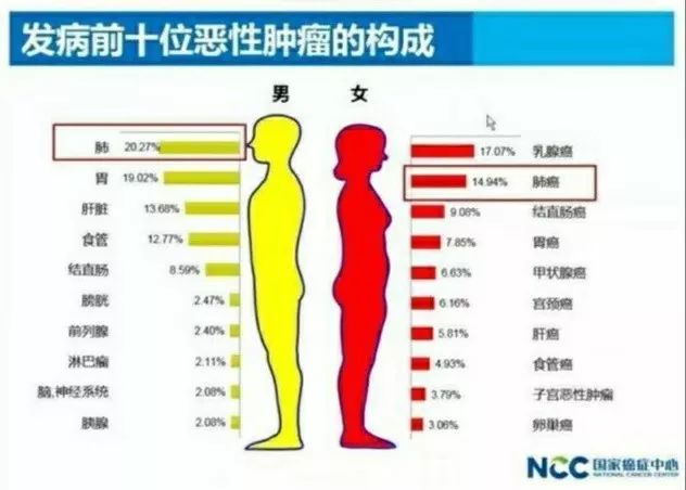 新华健康无忧c款交5年能退多少,新华健康无忧尊享版多少钱