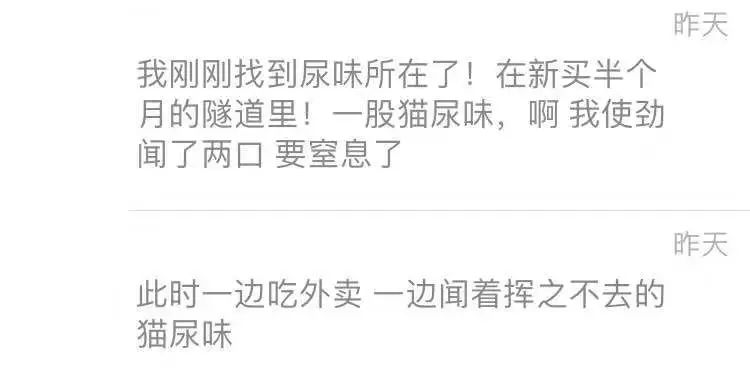 猫咪乱尿解决神器,猫咪乱尿吃什么药管用