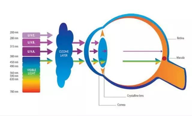 越戴越伤眼墨镜你真的选对了吗,夏天到了墨镜你选对了吗