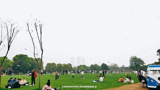 长沙适合野餐的地方,长沙周边遛娃一日游玩最佳地方