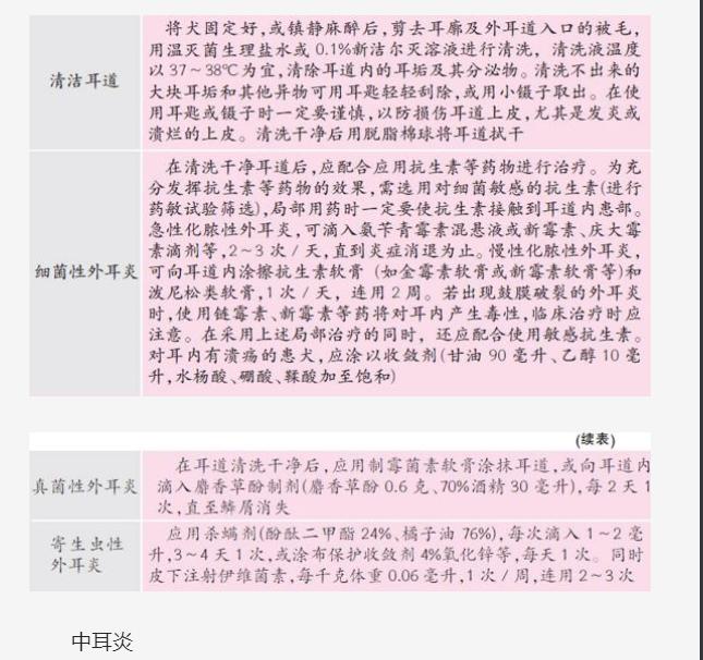 养宠知识狗狗发现呕吐怎么办,狗狗比较容易得的几种疾病