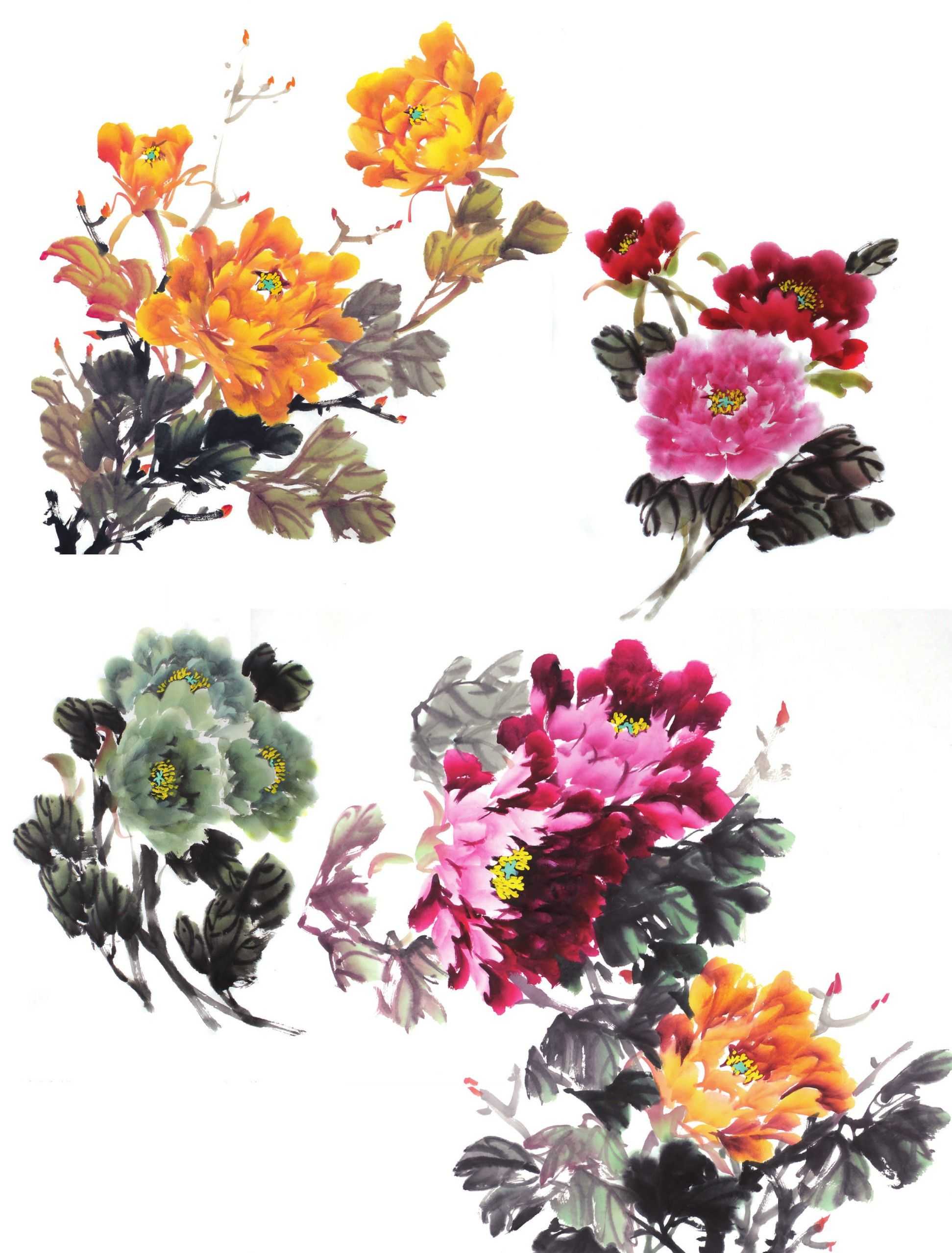 各种花的画法教程简笔画,各种花的画法大全简单漂亮