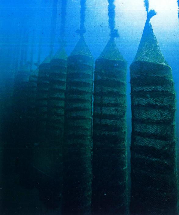 辽宁海边海鲜哪里好吃,辽宁海鲜哪最好