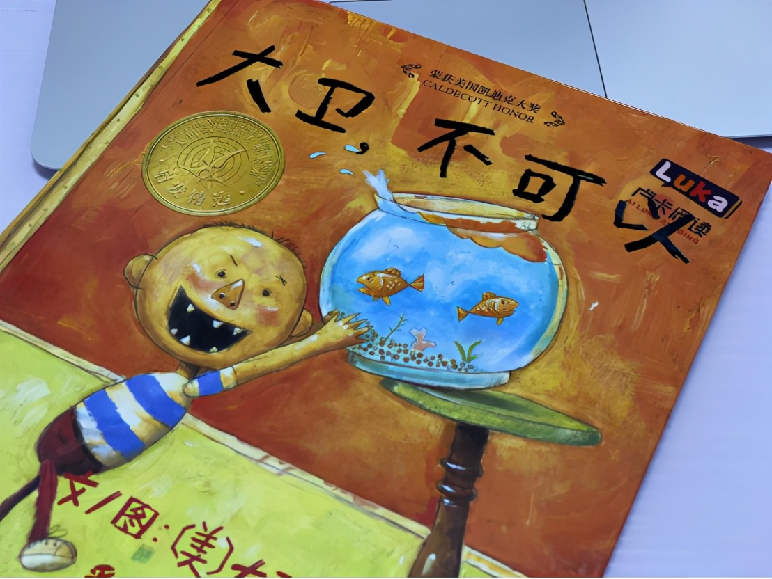 经典绘本大卫系列,绘本大卫不可以讲解