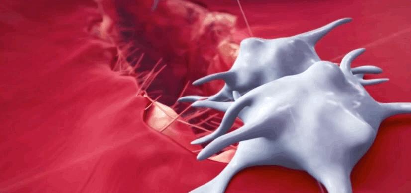 血小板破裂是什么意思,血小板凝固原因