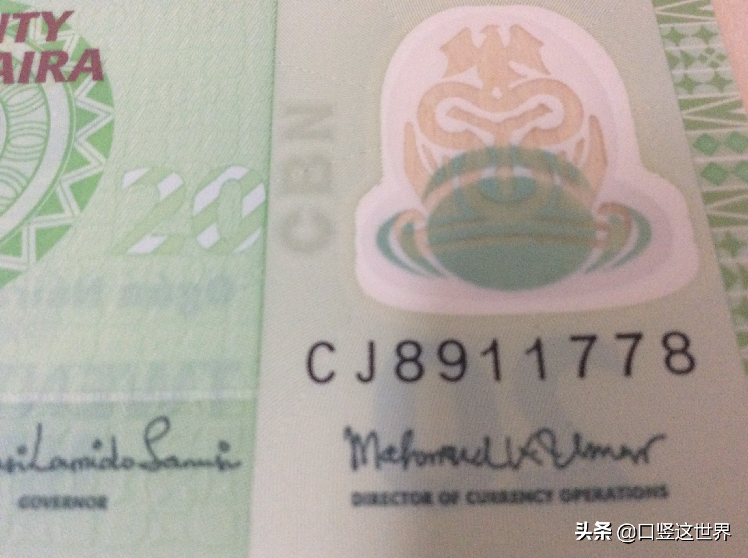 尼日利亚2017年纸币,尼日利亚2005年纸币1000块