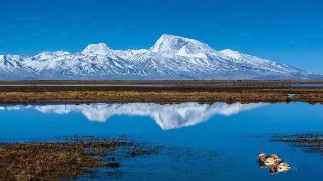 来阿里是一种怎样的旅行体验,阿里朝圣