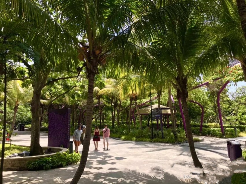 我与几个姐妹顺利的被评为优质，得到了单位出国旅游的资格...