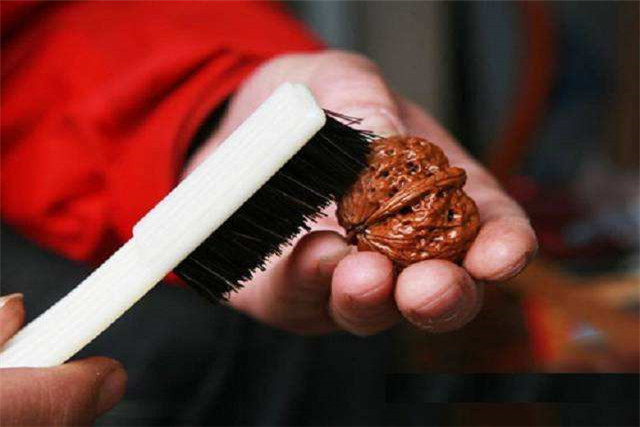 閲庢牳妗冪洏濂界殑鏍峰瓙,娉ㄦ剰鍥涚偣缁嗚妭