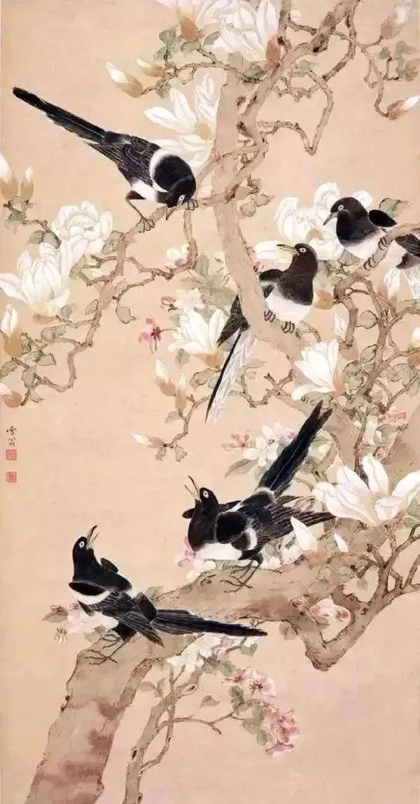 慢慢学花鸟｜这胖胖的哑嗓大黑鸟怎么成了“喜”鹊？