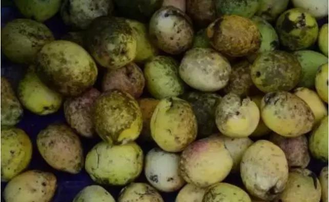 西双版纳这些奇特的水果，作为吃货的你都吃过哪些