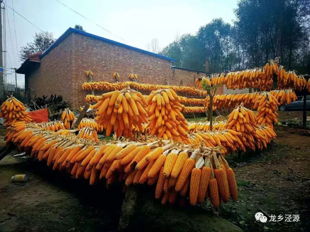 泾源秋天美景图片,泾源最美风景