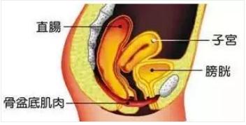 产后护理，盆底肌训练一定要关注