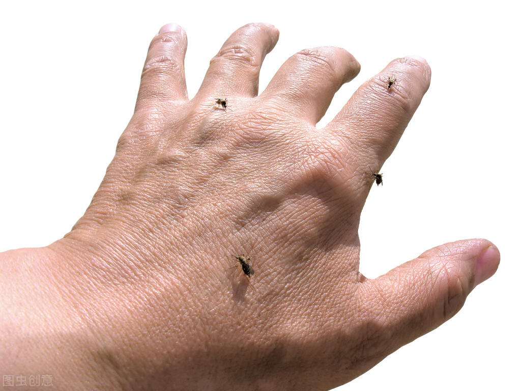 移友请关注！小外伤也容易引发*麻大**烦，处理措施getup