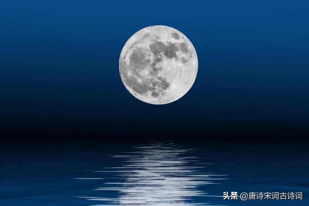 秋天最美的月光,秋天不可错过的枫叶