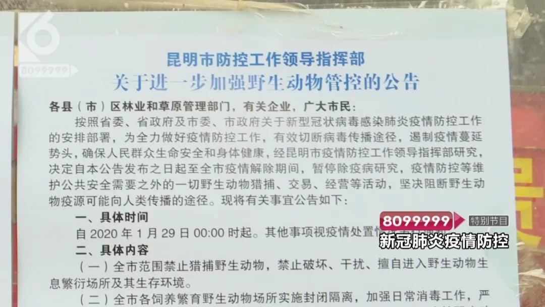 现在的花鸟市场还能卖吗,花鸟市场能买到吗