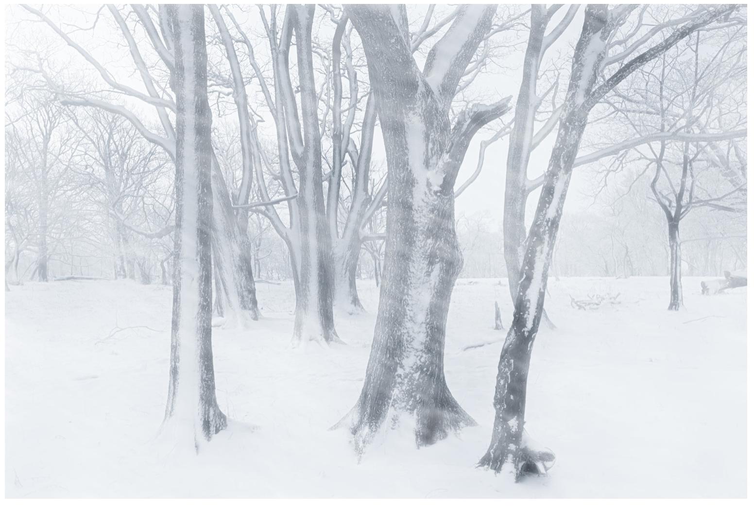 提高审美推荐十大自然风光摄影师,十大良心风光摄影师