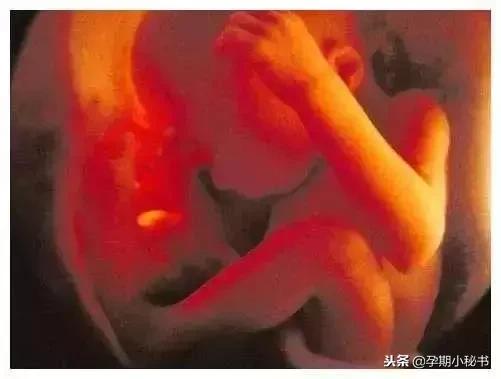 孕期产检必做的几大项,孕期第几周检查大排畸
