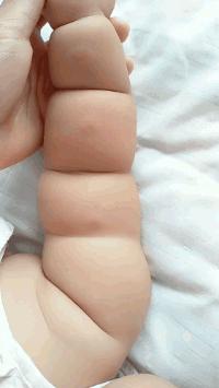 干掉蚊子的100种方法,消灭蚊子的100种方法第24种