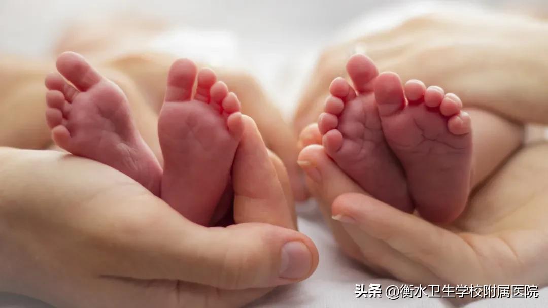 「小贴士」胚胎移植常见问题
