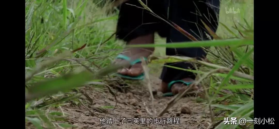 全球第一部疫情纪录片,最严重的疫情纪录片