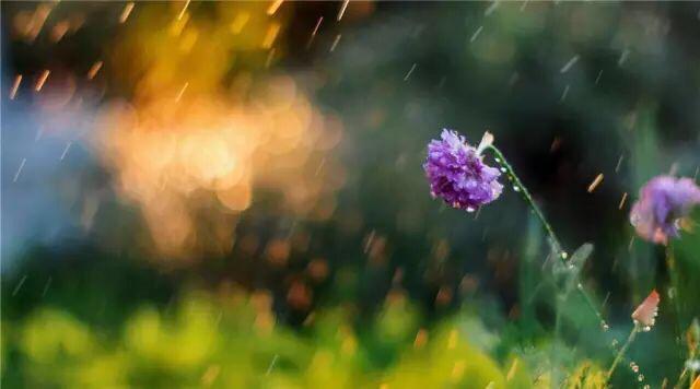 与人处世千万莫要斤斤计较,与人处事要大度