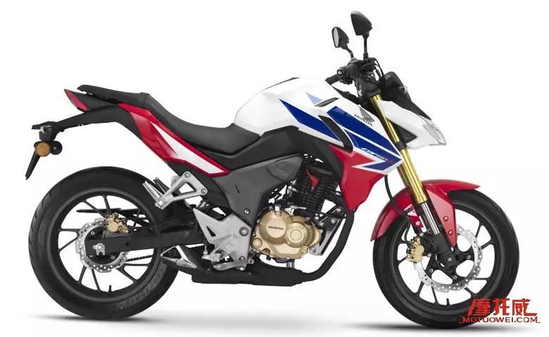 骑行选车,新手小白入门骑行选什么车