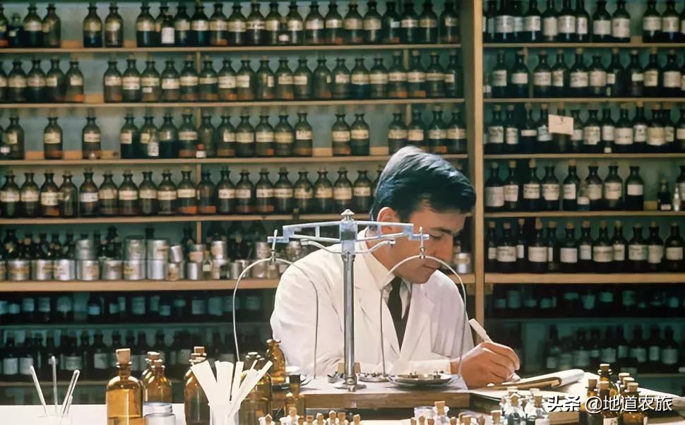 格拉斯小镇如何成为世界香水之都,格拉斯小镇被誉为香水之都的原因