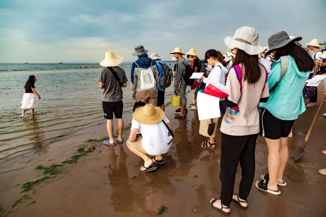 中国地质大学地质系,中国地质大学地质课程