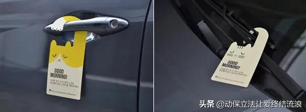 猫在车底不出来怎么办,车底进猫