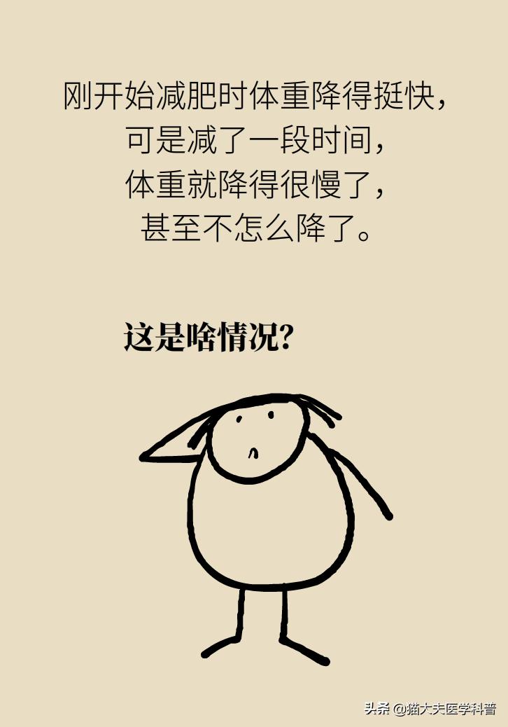 减肥减到一定程度减不下来怎么吃,减肥到一定程度减不下去怎么办