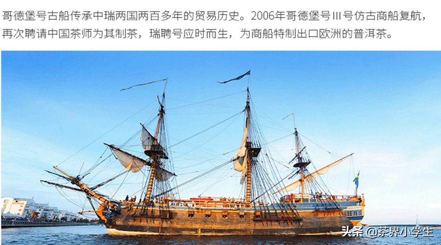 2019年双11普洱茶销量排名,双十一普洱茶排行单品