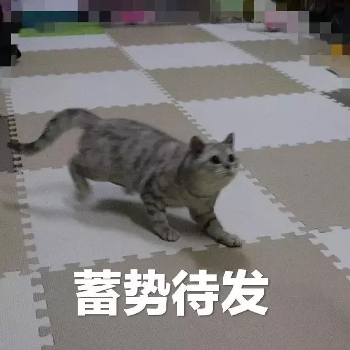 太原8月在售房价,太原天鹅堡楼盘房价