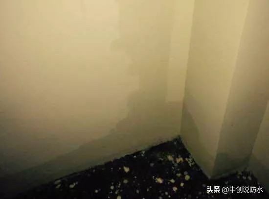 屋顶外墙漏水防水补漏,千阳高层外墙漏水防水上门维修