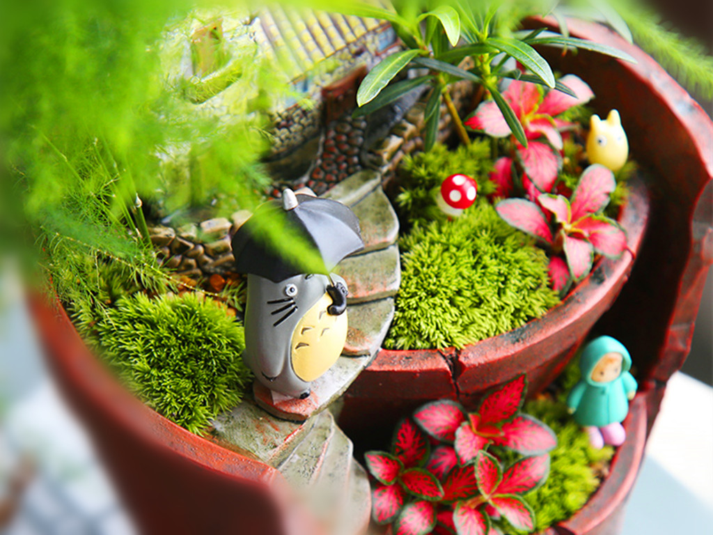 室内适合种观赏草,3种花特别适合养客厅