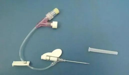 关于留置针的科普,留置针的四大关注事项