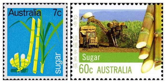 全世界最大的蟾蜍,全球最大的蟾蜍