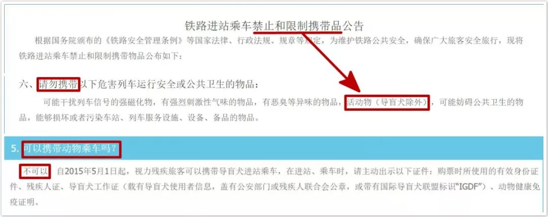 全国连锁宠物海陆空托运,猫咪托运攻略国外