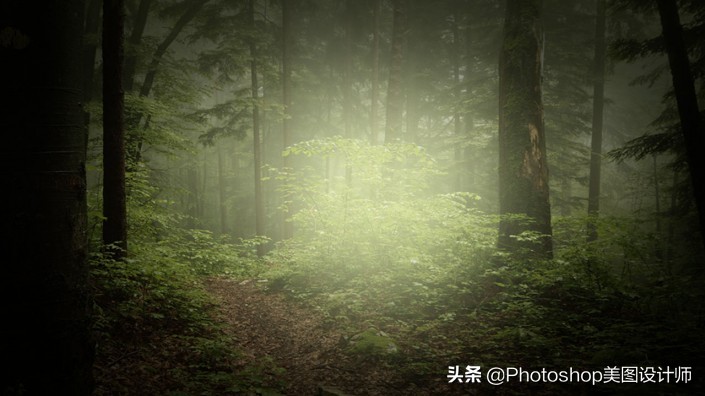 新手如何学习ps,ps手把手教你学会新手入门