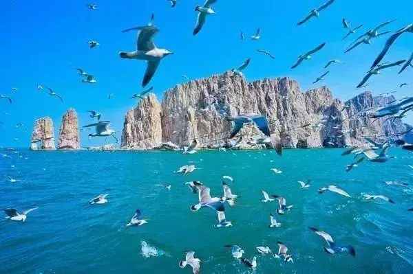 世界十大最美海岛,广东十大最美海岛排名