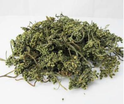 怎么分辨三七花和人参花,三七花和三七花有什么区别