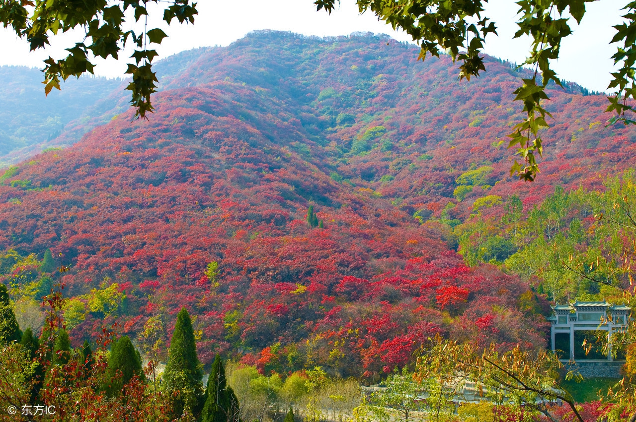 谁能入围驻济百强企业？签租一年，噪音大入住5小时就退房？