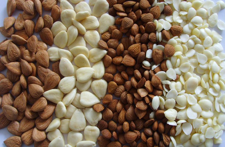 中药中有苦杏仁该怎么煮,学习一味中药