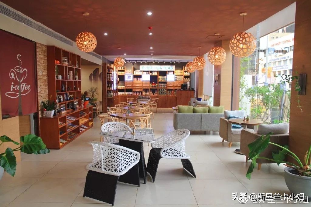 科伦坡淡山茱萸粉ins风酒店：清新艺术气质流行色不仅穿身上