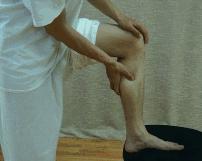 从零学中医按摩,从零学经络第七讲