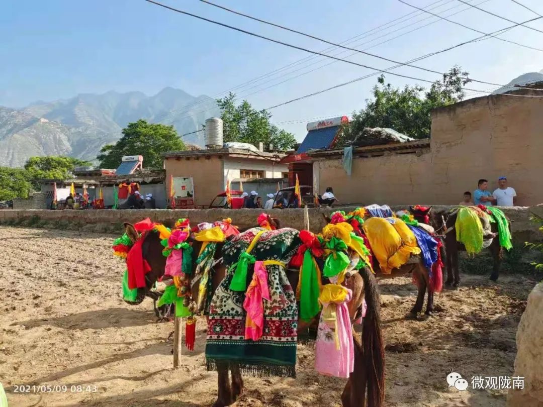 两水起“新城”，庙会值“千金”！探索乡村振兴观地方文化魅力