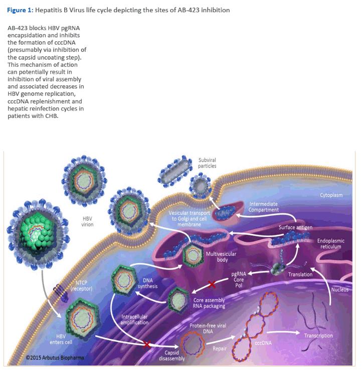 乙肝抗病毒的药的不良反应,乙肝抗病毒治疗药物分类